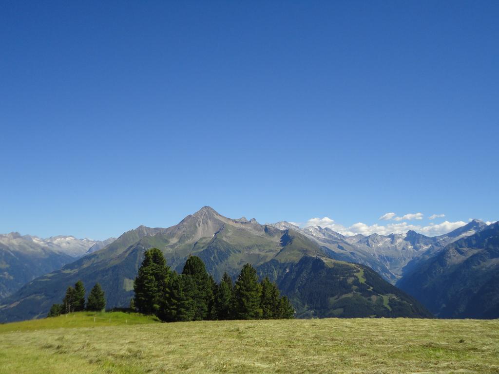 Apart Huamatl Ramsau im Zillertal Chambre photo